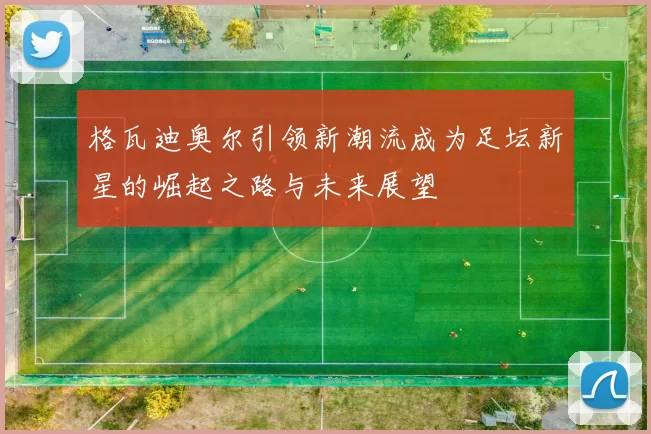 格瓦迪奥尔引领新潮流成为足坛新星的崛起之路与未来展望